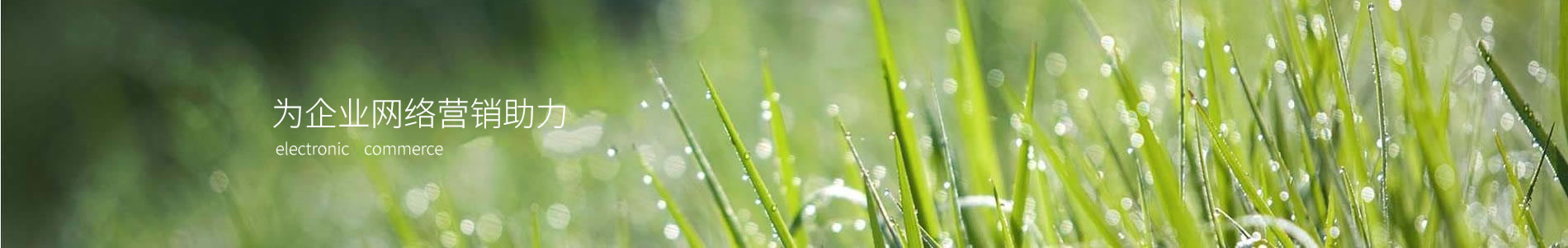 оӮƼ޹˾